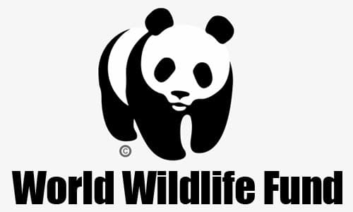 WWF Logo