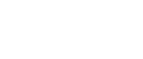 DJI APX Logo