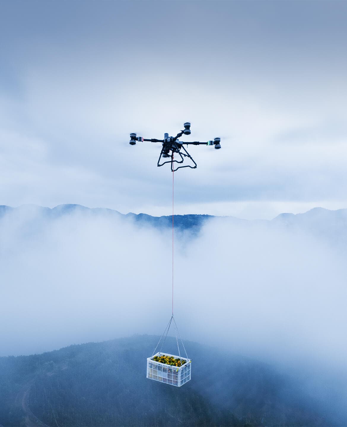 Hasta 100kg de peso de carga